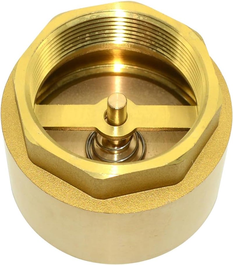 DAN SPEED Brass Check Valve,Female Thread Spring Check Valve,One Way Horizontal Check Valves for Backflow Prevention,Well, Pump, Tank ((DN50) 2'') - Image 5